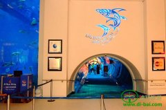 �ϰ�ͼƬ����Dubai Mallˮ���