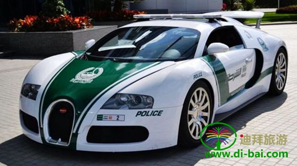 �ϰݾ���
