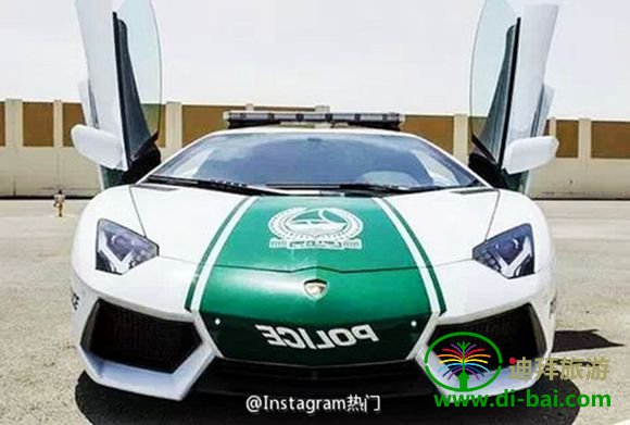 �ϰݾ���
