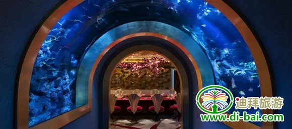 �ϰݷ����Ƶ�AL MAHARA ���ʲ���
