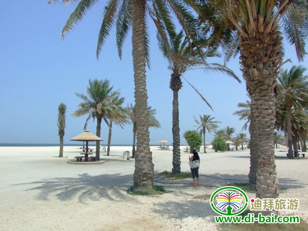�ϰ�������̲����ح�ϰ�����֮��ȥ�ĺ�̲�Ƽ�