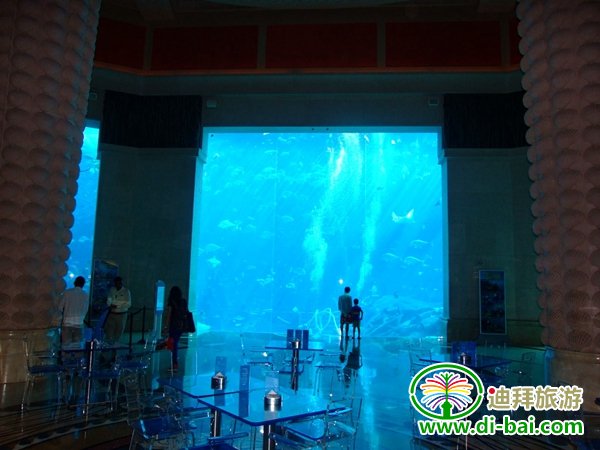 ���ϰ����Σ������ڵϰ�Ѱ�ҡ�ʧ��֮�ǡ��ż�