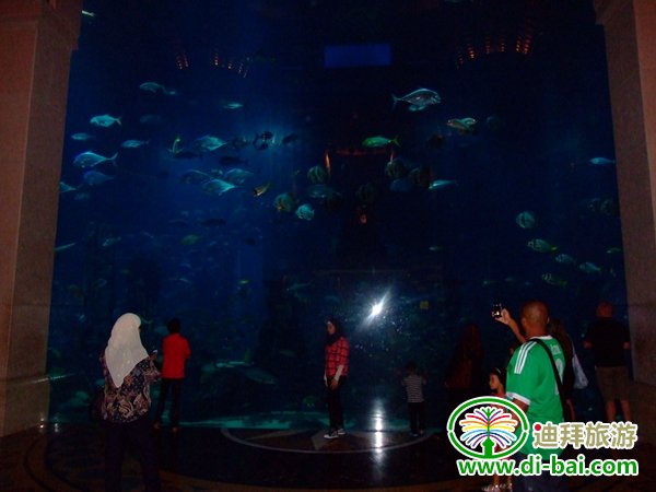 ���ϰ����Σ������ڵϰ�Ѱ�ҡ�ʧ��֮�ǡ��ż�