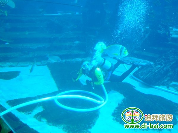 �ϰ�����ʮһ���и߼����Եϰ��淨