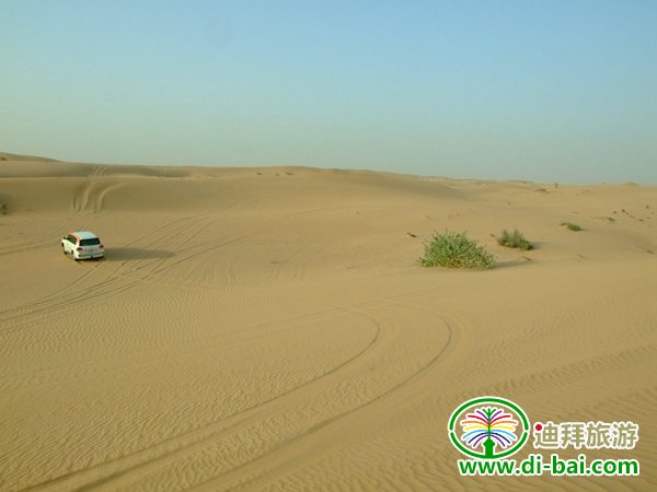 �ϰݶ���ʲô���մ̼������   �ϰ�����������Ŀ����Щ